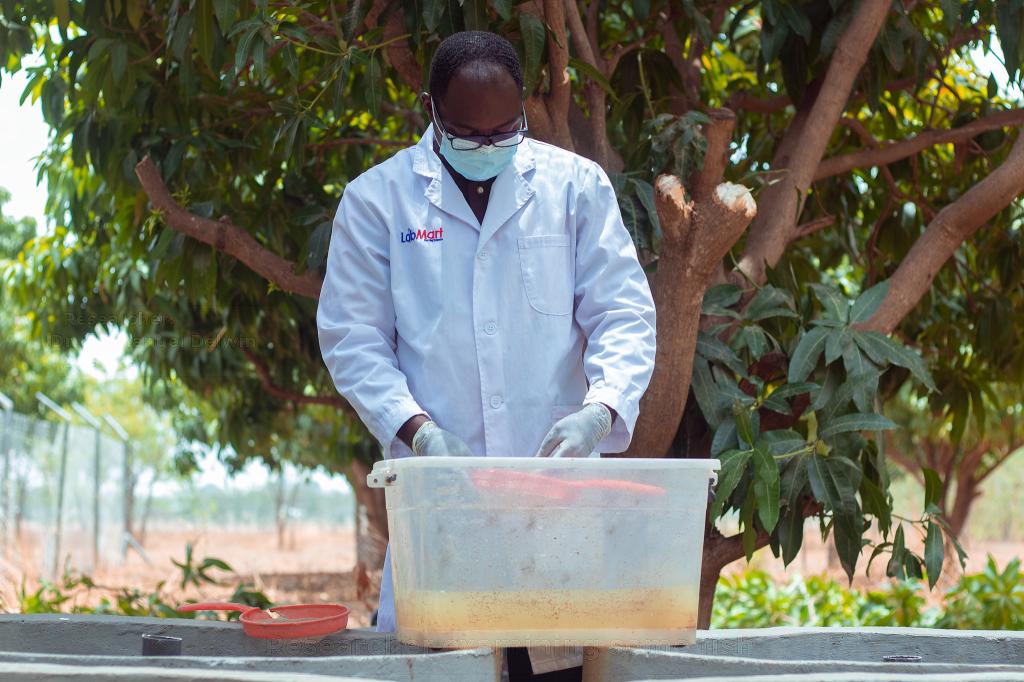 BETVLCTOR伟德在线