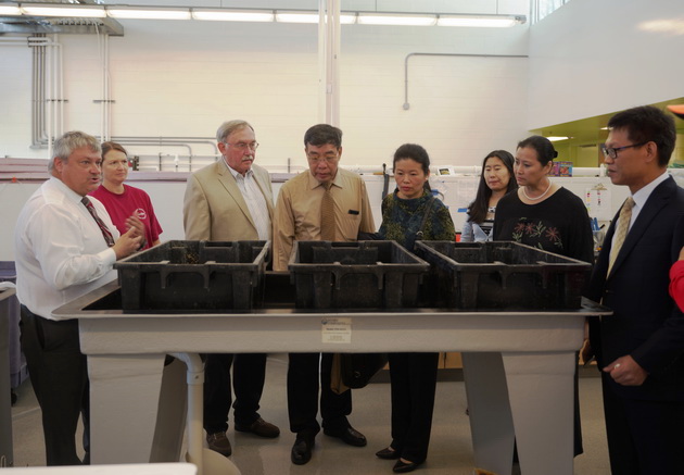 BETVLCTOR伟德在线