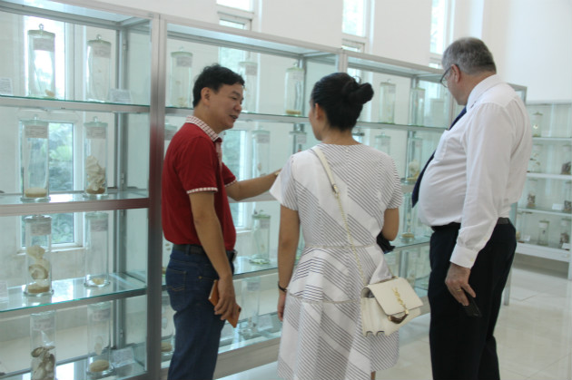 BETVLCTOR伟德在线