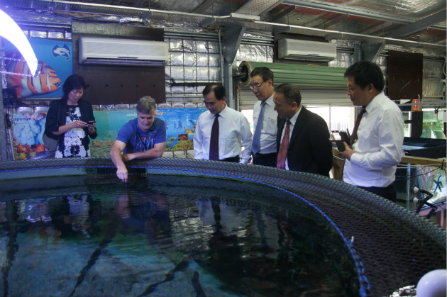 BETVLCTOR伟德在线