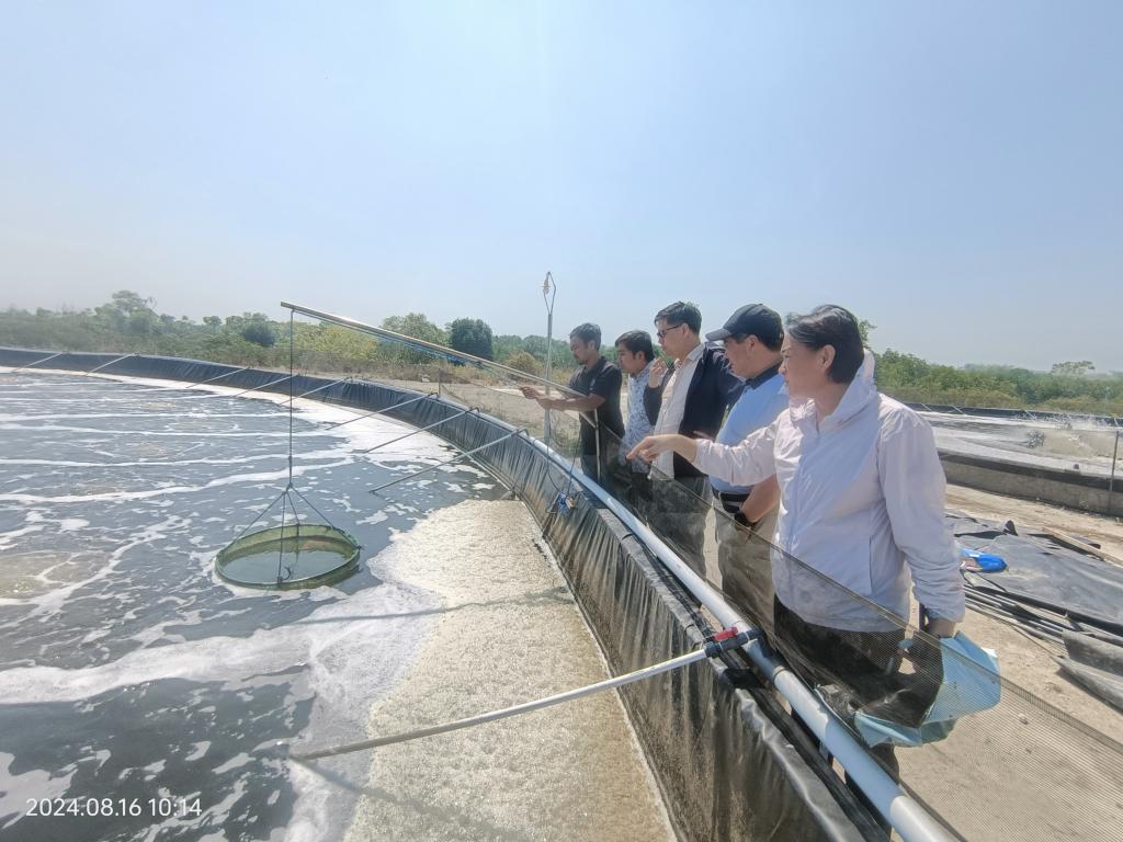 BETVLCTOR伟德在线