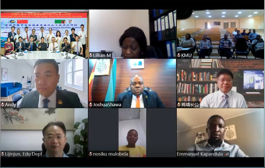 BETVLCTOR伟德在线