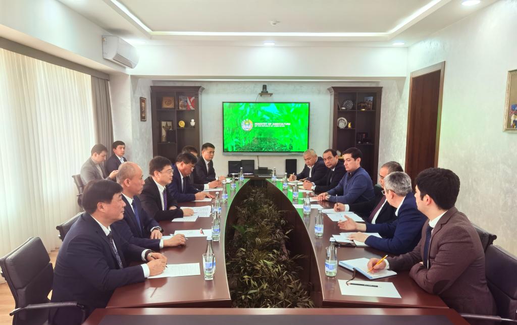 BETVLCTOR伟德在线